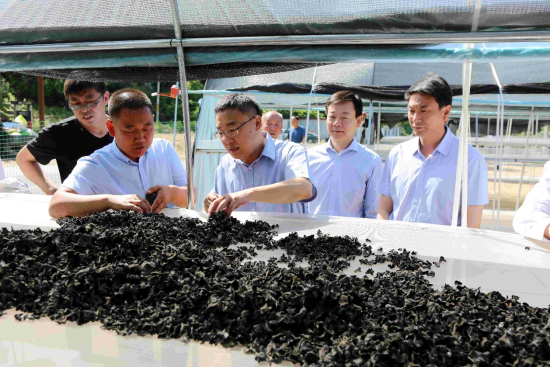 西城区委书记卢映川率西城区代表团赴阜平县调研考察产业帮扶项目